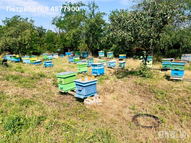 Био пчелен мед смес от акация и малко количество рапица.