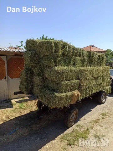 Продавам малки бали люцерна , снимка 6 - Други стоки за животни - 55482932