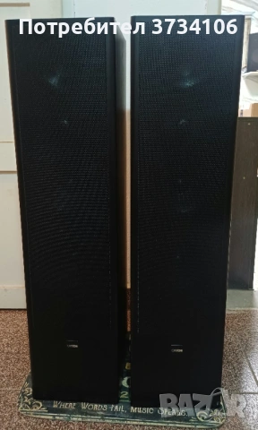 Canton Fonum 701 DC, снимка 3 - Тонколони - 54734068