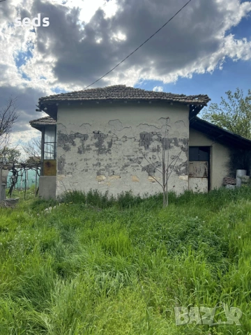 Парцел с къща 1489 кв.м с. Памукчии, обл. Шумен, снимка 4 - Парцели - 54315968