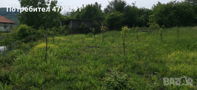 ПРОДАВА УПИ 700 КВ В СЕЛО БАТУЛЦИ, снимка 7 - Парцели - 54579634