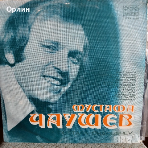 Грамофонни плочи, снимка 13 - Грамофонни плочи - 54917985