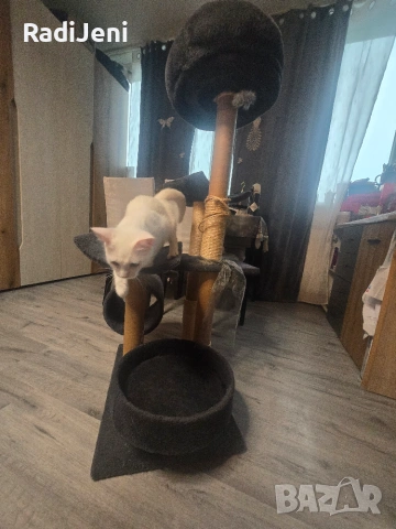 Драскалка , катерушка , къщичка , легло за котка, снимка 3 - За котки - 55250018