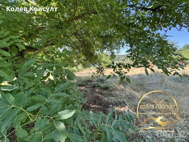 парцел с стара къща град Димитровград ,в.з Габера, снимка 2 - Парцели - 55232387