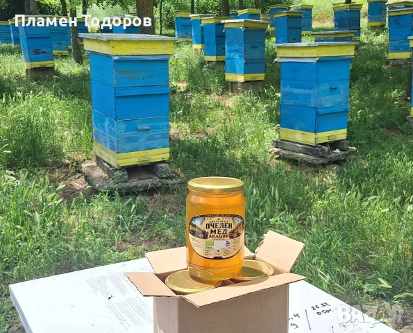 Био Пчелен Мед Акация, снимка 3 - Пчелни продукти - 55007076