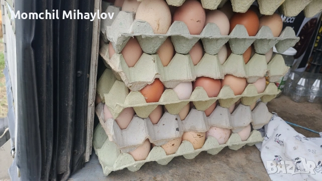 продавам яйца, снимка 4 - Кокошки и пуйки - 54802143