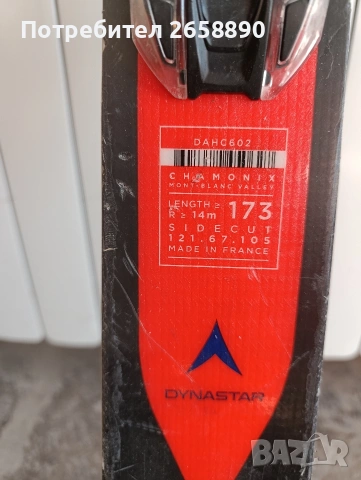ски Dynastar master speed SL 173см, снимка 6 - Зимни спортове - 55071491