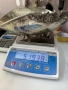 Масивна сребърна фруктиера (проба 800) – 519.38 гр. / Изящна купа, снимка 14