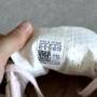 Дамски маратонки Adidas Gazelle Indoor, снимка 9
