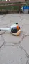 Продавам бензинов тример STIHL FS 56, снимка 5