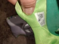 Nike Оригинални маратонки номер 39, снимка 6