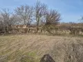 Продавам стара селска къща в село Черковна област Варна , снимка 8