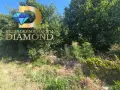 Едноетажна къща в село Долно Ботево, общ. Стамболово, снимка 12