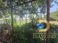 Едноетажна къща в село Васил Левски, общ. Опан, снимка 13