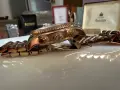 Продавам Дамски позлатен Michael kors в перфектно състояние, цена-69€, снимка 7