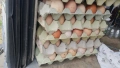 продавам яйца, снимка 4