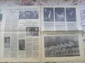 Вестник Музикален живот 19 април 1981 г. , снимка 2