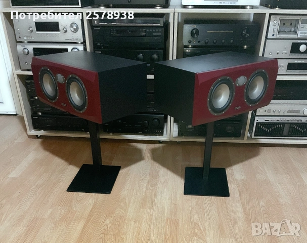 TANNOY Reveal 66 P - в перфектно състояние !, снимка 5 - Тонколони - 54980851