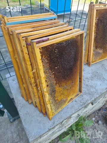 Изградени пчелни пити рамки ДБ