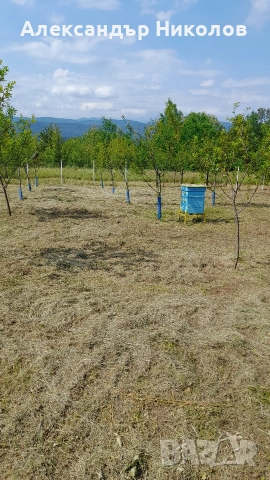 Продава се парцел в село Пецовци, снимка 9 - Парцели - 55091766