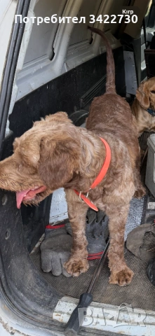 Лагото ромоньоло , снимка 7 - Други - 53969260