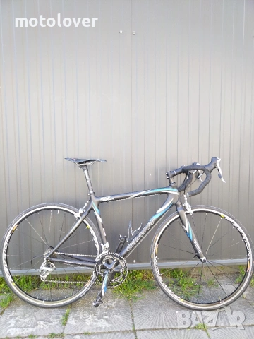 Шосеен карбонов Giant