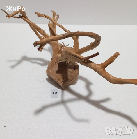 Корен от Азалия /декорация/ 18, снимка 3 - Други - 48936428