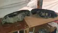 Фарове от Пежо 306, снимка 2