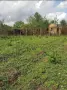 Продавам стара къща с дворно място, снимка 2