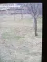 Земеделска земя около 1700кв.м., снимка 5