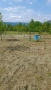 Продава се парцел в село Пецовци, снимка 9