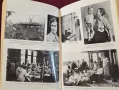 Singled Out. How Two Million Women Survived without Men After the First World War, снимка 12