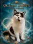 Британски котки , снимка 13
