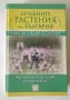 Лечебните растения на България - Васил Канисков, снимка 1