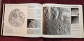 Илюстриран атлас на Слънчевата система / Atlas of the Solar System, снимка 17