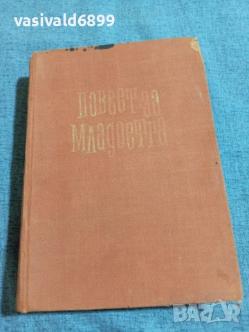 Григорий Медински - Повест за младостта 