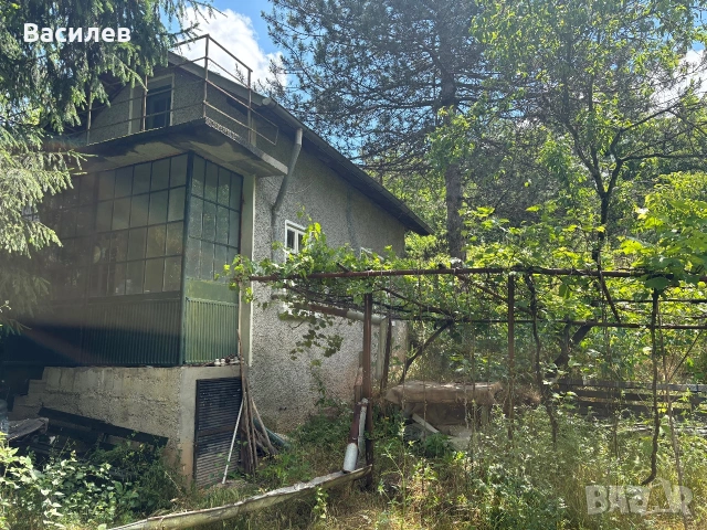 Вила с лозе в американските лозя- гр.Разград, снимка 2 - Вили - 55055222
