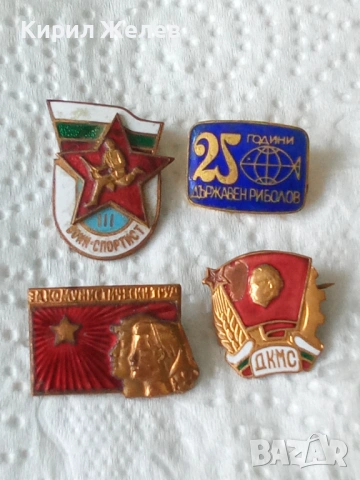 Колекция от различни значки 24869