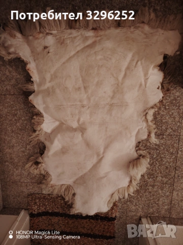 Овча кожа преработена , снимка 3 - Други животни - 54073802