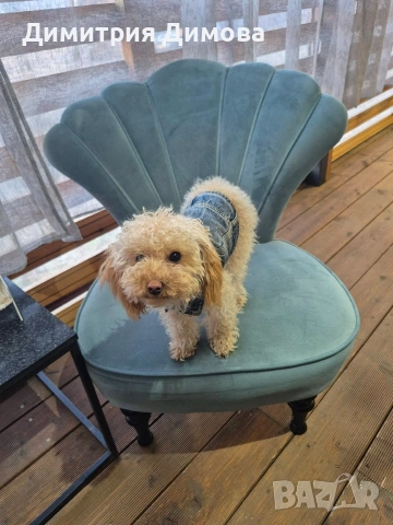 Бунгало АКВАМИРА къмпинг Созопол Еко , снимка 11 - Квартири, нощувки - 54035237