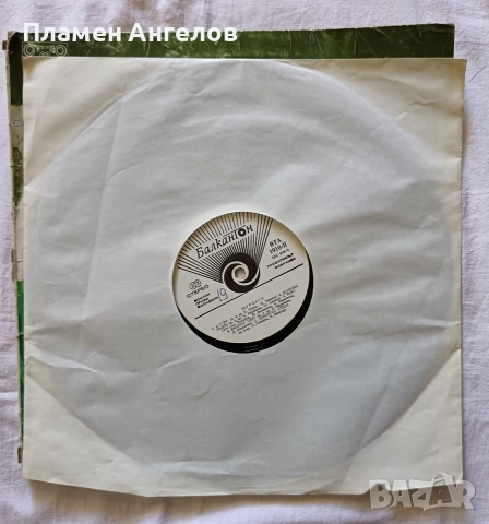 Грамофонна плоча Щурците 1976г. Балкантон, снимка 3 - Грамофонни плочи - 53716322