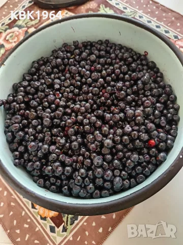 горски черни боровинки