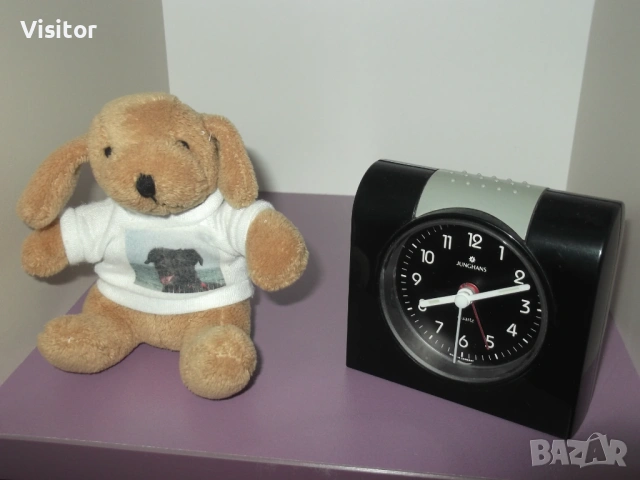 FujiFilm  FinePix C10   -  10MPx, снимка 9 - Фотоапарати - 54242260