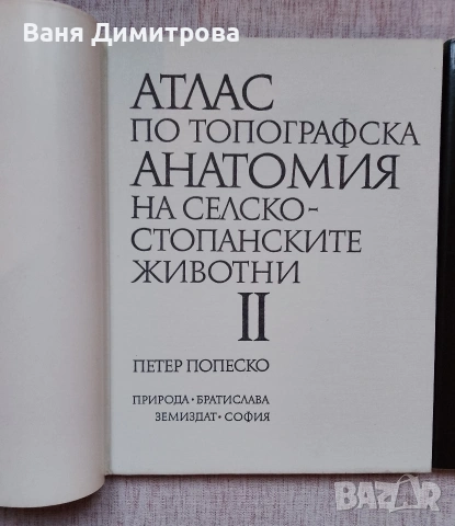 Атлас по топографска анатомия на селскостопанските животни. Том 1-3, снимка 3 - Специализирана литература - 54662765