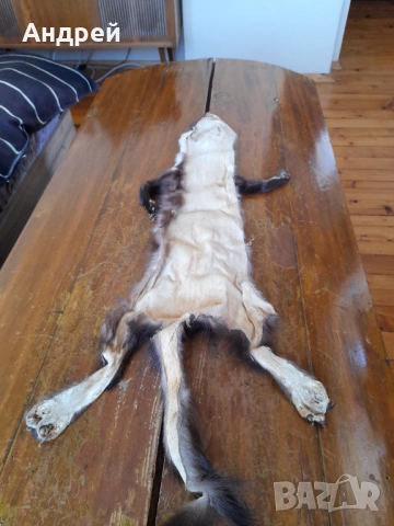 Стара кожа от Златка, снимка 4 - Други ценни предмети - 54369931