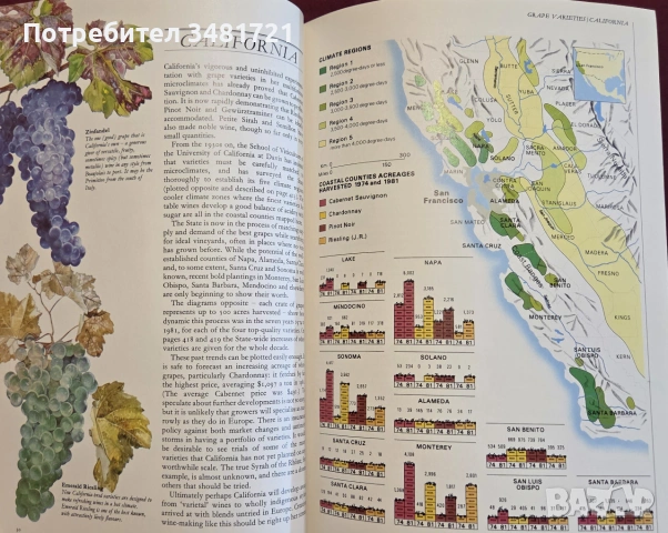 Hugh Johnson's Wine Companion. The  New Encyclopaedia of Wines, Vineyards and Winemakers, снимка 4 - Кулинария - 55064995