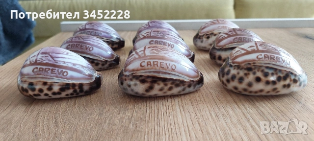 Раковини гравирани 9 броя за ценители , снимка 6 - Декорация за дома - 55086816