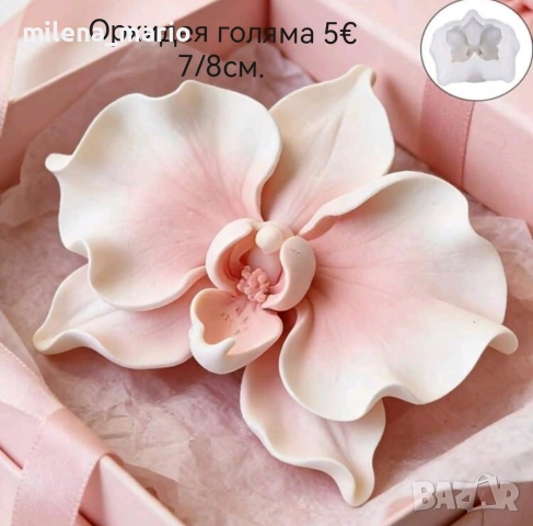 Нови молдове 3, снимка 7 - Други - 54113042