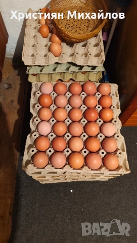 Продавам домашни яйца от свободни кокошки , снимка 2 - други­ - 54013532