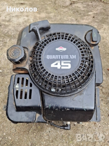 Двигател Briggs Stratton, Бригс Страйшън 